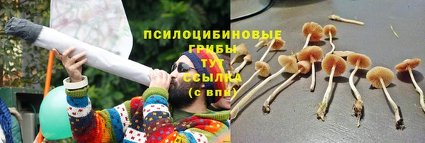 прущие грибы Абдулино