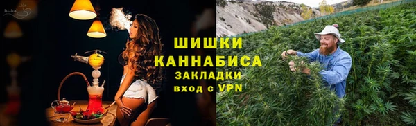 прущие грибы Абдулино