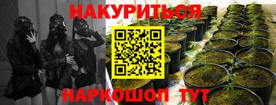 гашишное масло Гуково