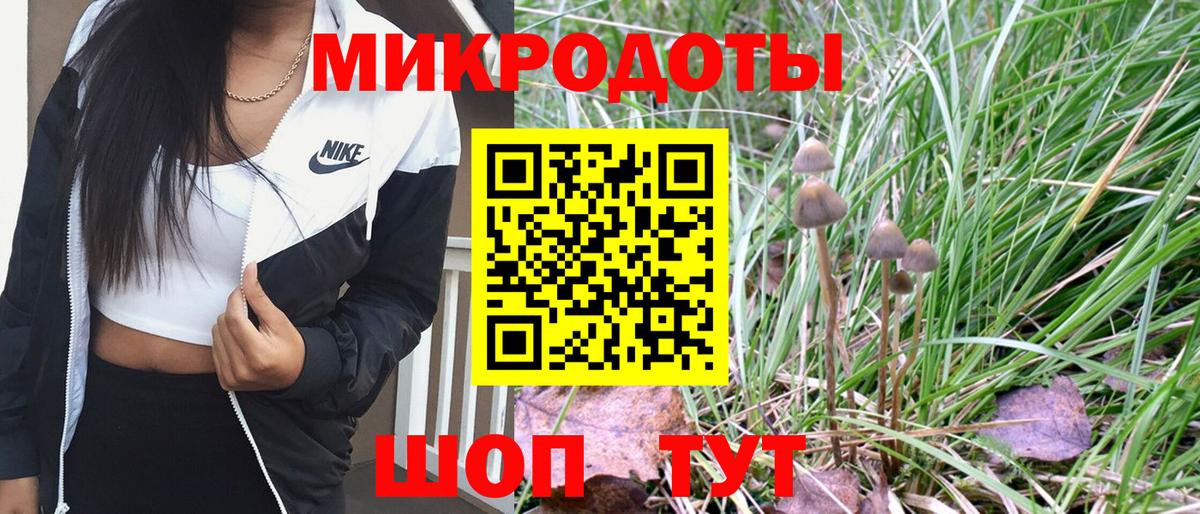 Барнаул  что такое   Вход с VPN  Псилоцибиновые грибы мицелий 